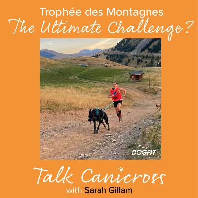 The Ultimate Challenge? Trophée des Montagnes (TDM) The Ultimate Challenge? Trophée des Montagnes (TDM)