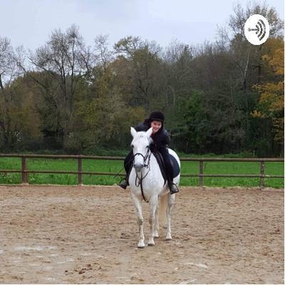 The 5 senses of the horse, and how to take care of him dealing with it.