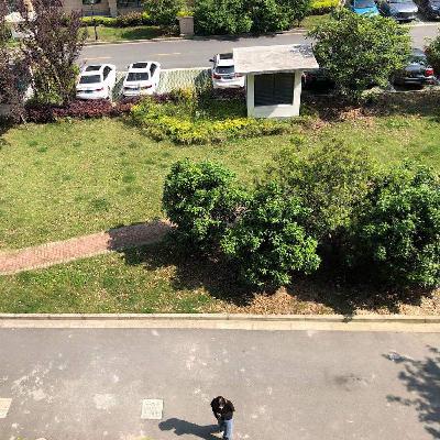 #15 (SHORT) 告别摄影，去现场