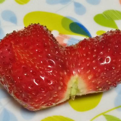 朗読が独特なおばちゃんの読み聞かせ　第二回「いちょうの実」