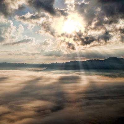 Living in hope