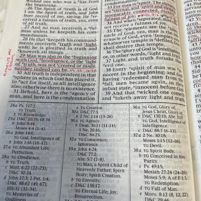 Welcome to Answers to Gospel Questions!