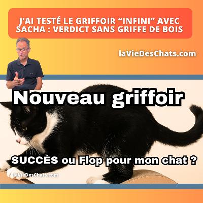 J'AI TESTÉ LE NOUVEAU GRIFFOIR D'HOMYCAT AVEC SACHA. VERDICT !