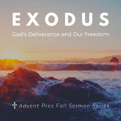 Exodus: God's Deliverance and Our Freedom - November 16, 2025 Exodus: God's Deliverance and Our Freedom - November 16, 2025