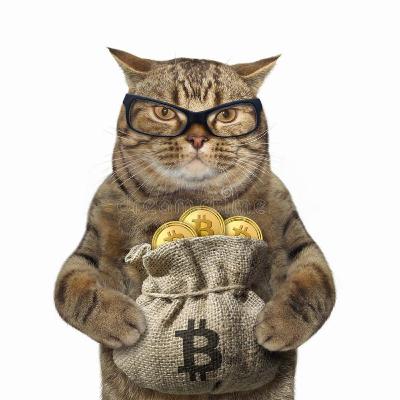 Cryptocurrency Cryptocurrency