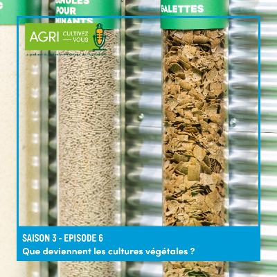 Que deviennent les cultures végétales ?
