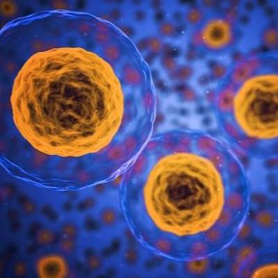 ‘I’ Before ‘E’ except after ‘C’