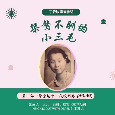 21.丁爱珍的声音传记 | 《桀骜不驯的小三毛》第一集: 弄堂起步，风吹西路
