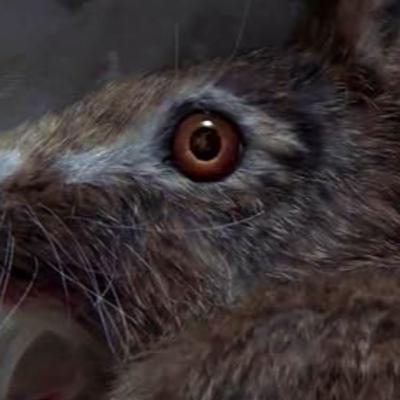Ep 69 - Folk Horror Británico: ¿Es Starve Acre el nuevo clásico del género? Ep 69 - Folk Horror Británico: ¿Es Starve Acre el nuevo clásico del género?