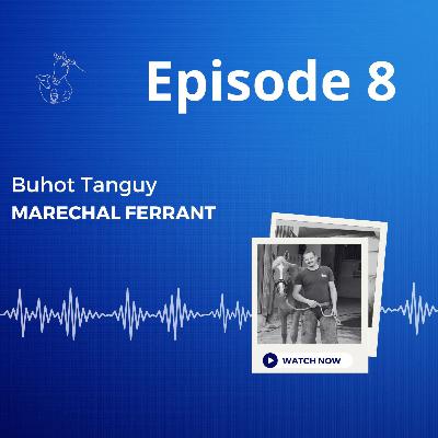 Episode 8 : Tanguy Buhot, maréchalerie & poulains