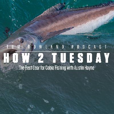 How 2 Tuesday - The Best Gear for Cobia Fishing with Austin Hayne - Episode #668