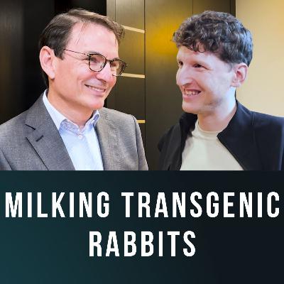 Fabrice Chouraqui, Pharming 🇳🇱 | Transgenic Rabbits, Rare Diseases | E43