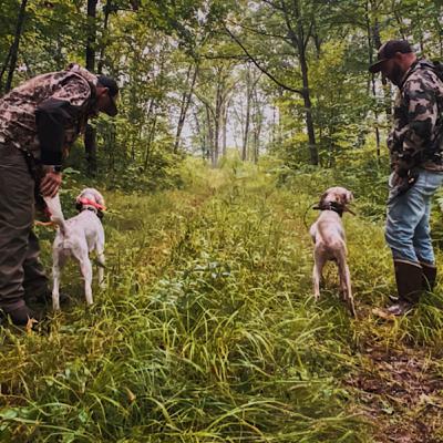 Episode 17: The Bird Dog Episode