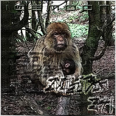 341 [IR] ICEMOON [EVOLUTION]