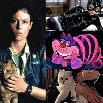 Disidencias felinas en el cine