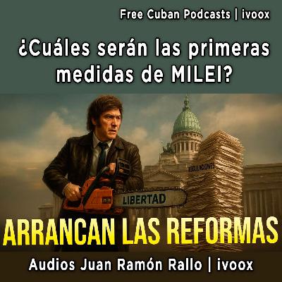 Milei acelera con las reformas: ¿cuáles serán sus primeras medidas? Milei acelera con las reformas: ¿cuáles serán sus primeras medidas?