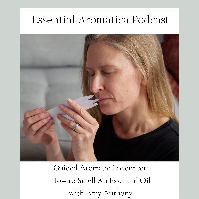Guided Aromatic Encounter: How to Smell an Essential Oil
