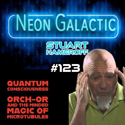 How the quantum creates consciousness -- Stuart Hameroff -- Neon Galactic
