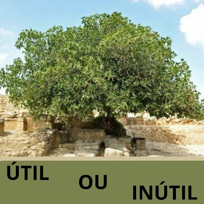 #584 Você é útil? #584 Você é útil?