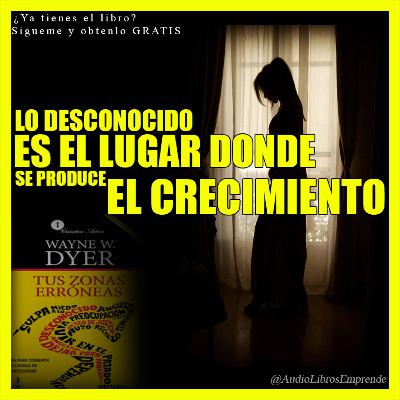 TUS ZONAS ERRÓNEAS - ANÁLISIS DEL LIBRO POR AUDIOLIBROS EMPRENDE TUS ZONAS ERRÓNEAS - ANÁLISIS DEL LIBRO POR AUDIOLIBROS EMPRENDE