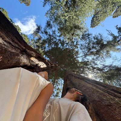 פרק 9 - ללכת עד הסוף