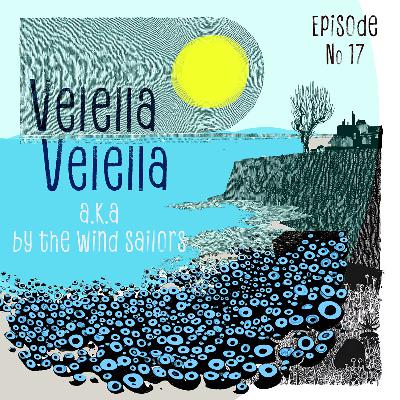 Velella Velella By the Wind Sailors