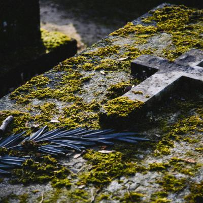 🎲 Réimprimer ou mourir ? Le grand dilemme du jeu de société