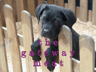 The Gateway Meat (2008)