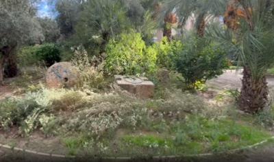 El PSOE de Elche denuncia el “abandono” del PP y Vox del mantenimiento del Hort de Montenegro El PSOE de Elche denuncia el “abandono” del PP y Vox del mantenimiento del Hort de Montenegro