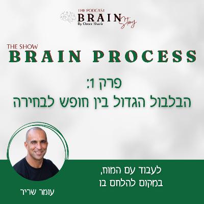 Brain Process 43 : הבלבול הגדול בין חופש לבחירה
