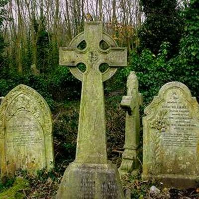 El vampiro de Highgate. El vampiro de Highgate.