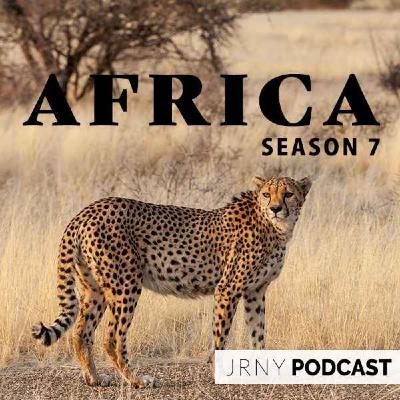 Walking safaris in The Valley of the Leopard - with Shenton Safaris