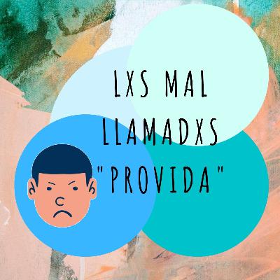 Lxs mal llamadxs "provida"