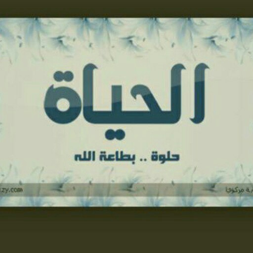 برنامج
( وصايا نبوية )