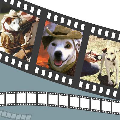 Wishbone Woofs It Into The Wild West