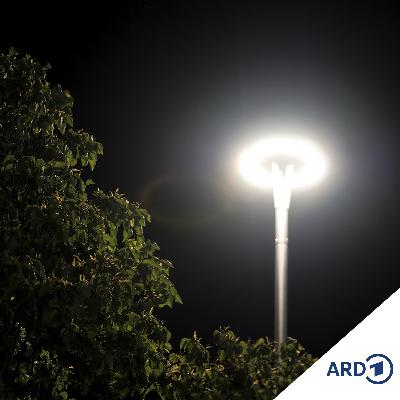 Licht anlaaten