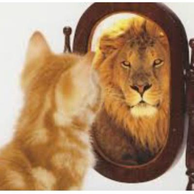 Change room mirror