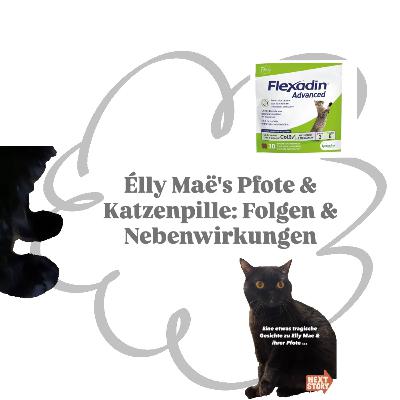 Élly Maë's Pfote & Katzenpille: Folgen & Nebenwirkungen Élly Maë's Pfote & Katzenpille: Folgen & Nebenwirkungen