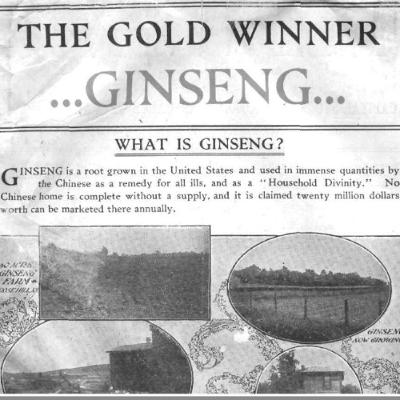 Pennsylvania Merchants and American Ginseng in China, 1784-1840 with Audrey Ke Zhao