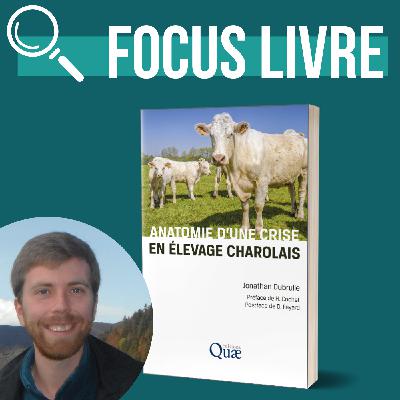 INTERVIEW - Anatomie d'une crise en élevage charolais | Jonathan Dubrulle INTERVIEW - Anatomie d'une crise en élevage charolais | Jonathan Dubrulle