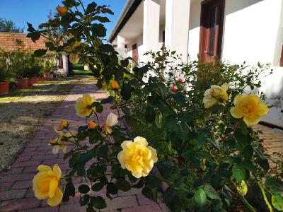 Csákberény - gróf Merán Fülöp Erdészeti és Vadászati Múzeum, Panoráma tanösvény a Vértesben