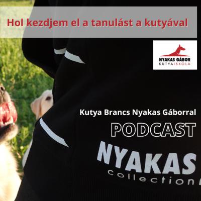 Hol kezdjem el a tanulást a kutyával - Kutya Brancs Nyakas Gáborral Hol kezdjem el a tanulást a kutyával - Kutya Brancs Nyakas Gáborral