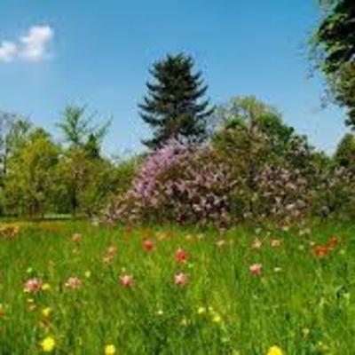 17. Frases fetes de la primavera