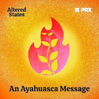 An Ayahuasca Message