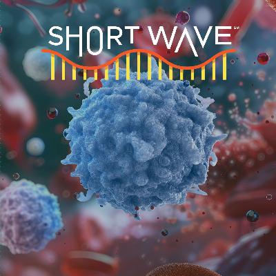 The Future Of Immune Health Might Be Here The Future Of Immune Health Might Be Here