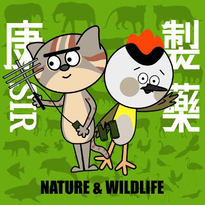野生放鬆事故21. 鬣蜥掉下來