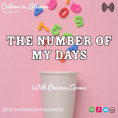 The Number of My Days | C2E2