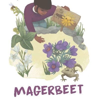 Magerbeet
