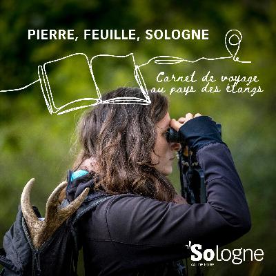 Bande annonce - Pierre, feuille, Sologne