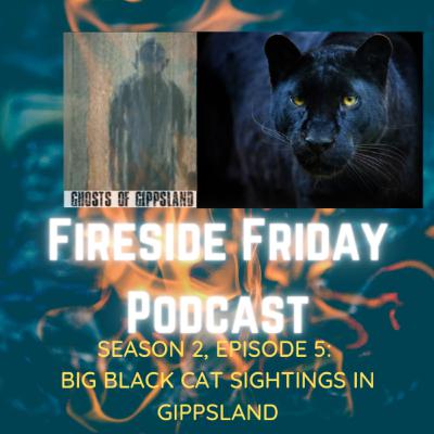 Big Black Cat Sightings in Gippsland Big Black Cat Sightings in Gippsland